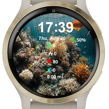 Fish Swimming Over Some Coral Garmin watch face preview