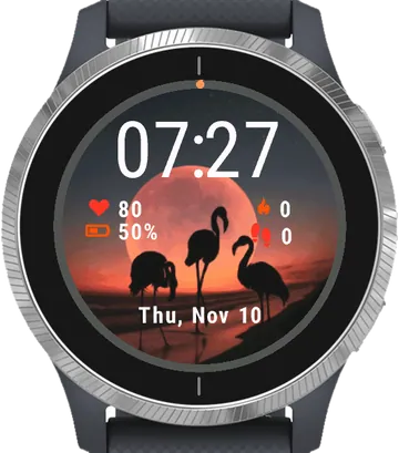 Flamingo Birds Garmin watch face preview