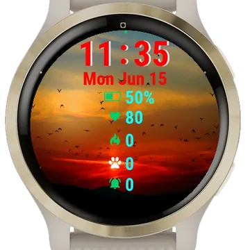 Flock Birds Flying Sunset Garmin watch face preview
