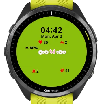 Flowers Bunny Garmin watch face preview