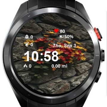 Flowers Growing Out Wall Garmin watch face preview