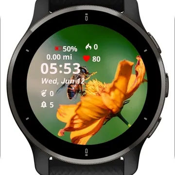 Fly Bee Garmin watch face preview
