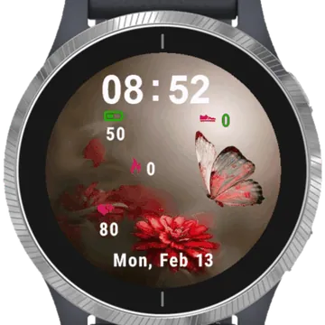 Fly Butterfly Garmin watch face preview