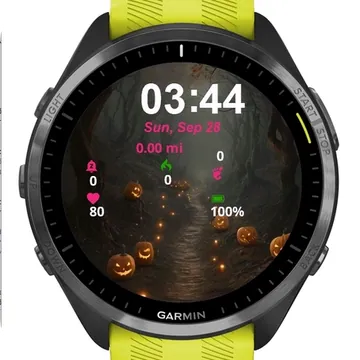 Fog Pumpkins Garmin watch face preview
