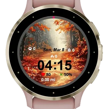 Forest Autumn #1 Garmin watch face preview