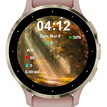 Forest Autumn Garmin watch face preview