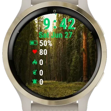 Forest Filled Tall Trees Garmin watch face preview