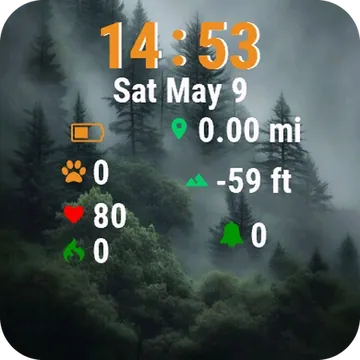 Forest Fog Trees Garmin watch face preview