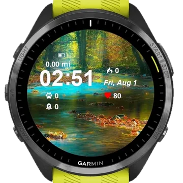 Forest River Garmin watch face preview