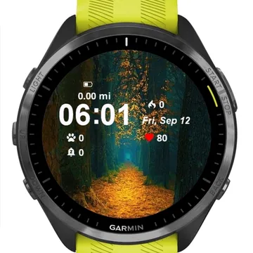 Forest View Garmin watch face preview