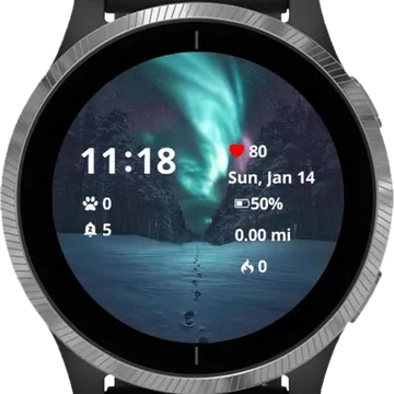 Forest Winter Garmin watch face preview