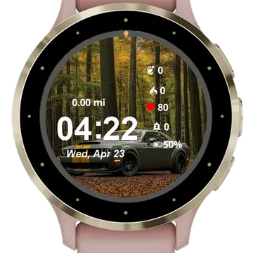 Forrest Car Garmin watch face preview