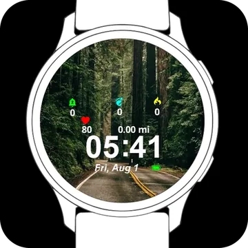 Forrest Street Garmin watch face preview