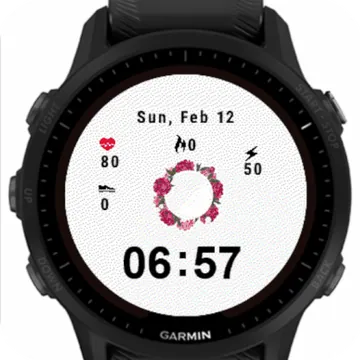 Frame Flowers Garmin watch face preview