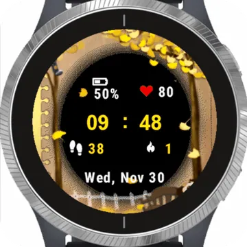 Frame for Children Garmin watch face preview