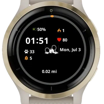 Frankenstein 2 Garmin watch face preview