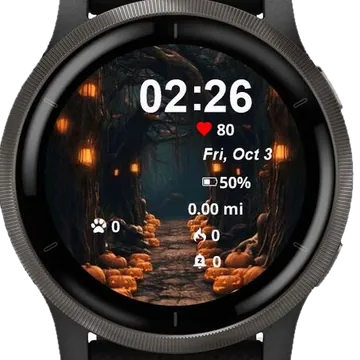 Frightful Flight Garmin watch face preview