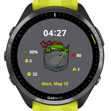 Frog Garmin watch face preview