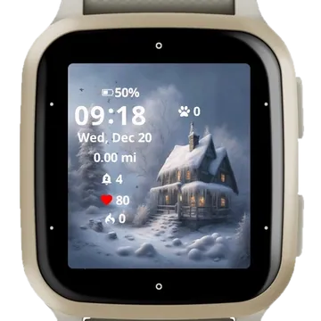 Frosty Haven Garmin watch face preview