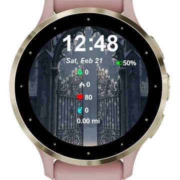 Frozen Gothic Gateway Garmin watch face preview