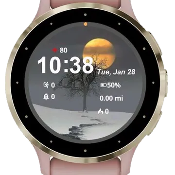 Full Cold Moon Garmin watch face preview