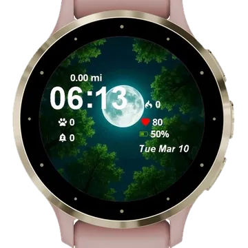 Full Moon Night Sky Garmin watch face preview