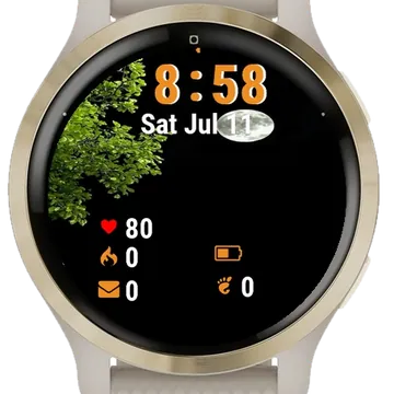 Full Moon Shining Dark Sky Garmin watch face preview