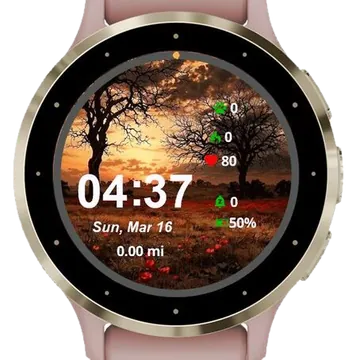 Galactic Landscape Garmin watch face preview