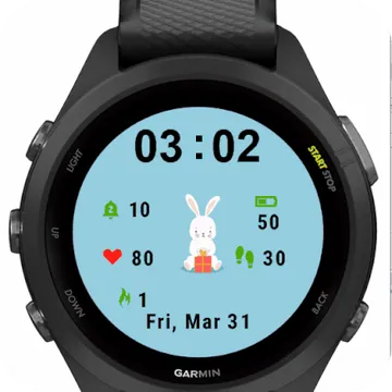 Gift Easter Garmin watch face preview