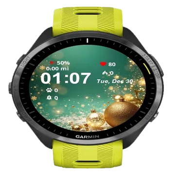 Globe Winter Garmin watch face preview