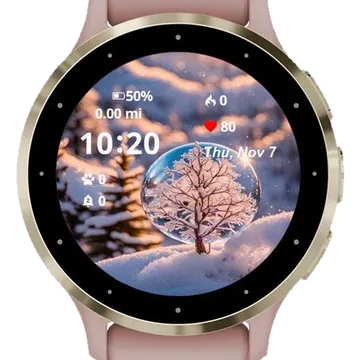 Globe Winter Garmin watch face preview