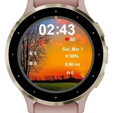 Golden Horizon Garmin watch face preview