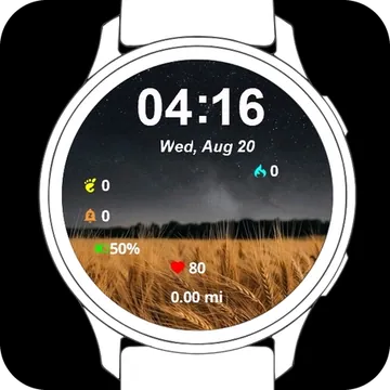 Golden Silence Garmin watch face preview