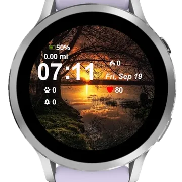 Golden Silence Garmin watch face preview