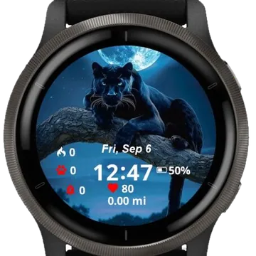 Graceful black panther Garmin watch face preview