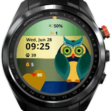 Green Cute Owl Garmin watch face preview