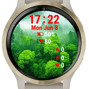 Green Forest Fog Garmin watch face preview