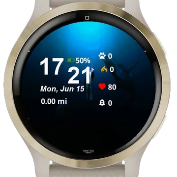 Group Fish Swimming Ocean Garmin watch face preview