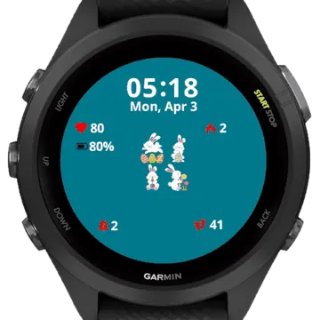 Hand Bunnyes Background Garmin watch face preview