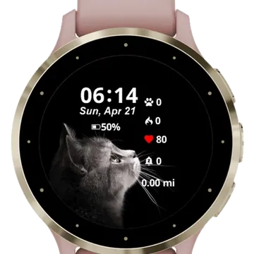 Happy Little Cat Garmin watch face preview