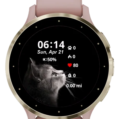 Happy Little Cat Garmin watch face preview