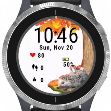 Hedgehog Autumn Garmin watch face preview