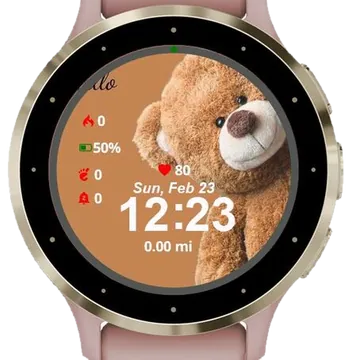 Hello from the Teddy Bear Garmin watch face preview