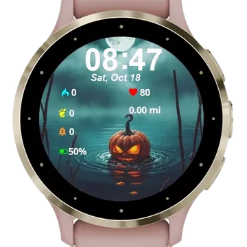 Here Fishy Fishy Garmin watch face preview