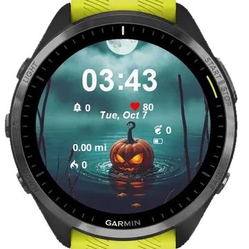 Here Fishy Fishy Garmin watch face preview