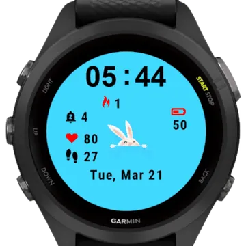 Hi Bunny Garmin watch face preview