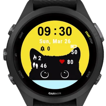 Hidden Pussy Garmin watch face preview