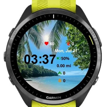 Holiday Summer Garmin watch face preview