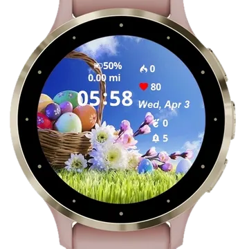Images Easter egg Sky Flowers Garmin watch face preview