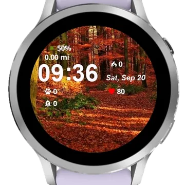 Into Forest Garmin watch face preview
